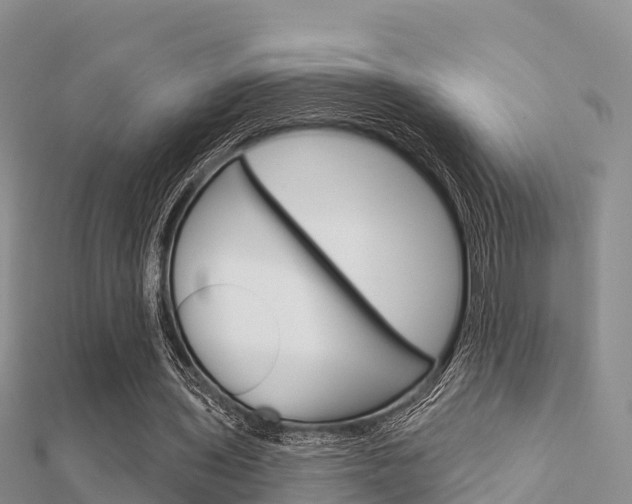 X0000112430435200908141115