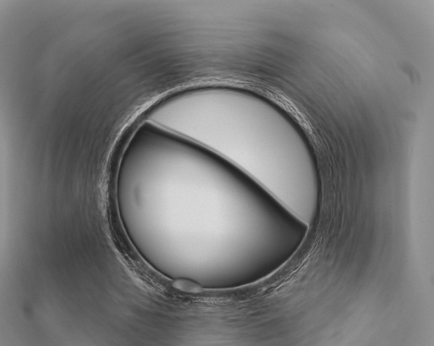 X0000112430436200908141115