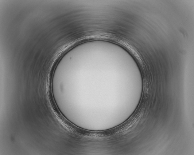 X0000112430437200908141115
