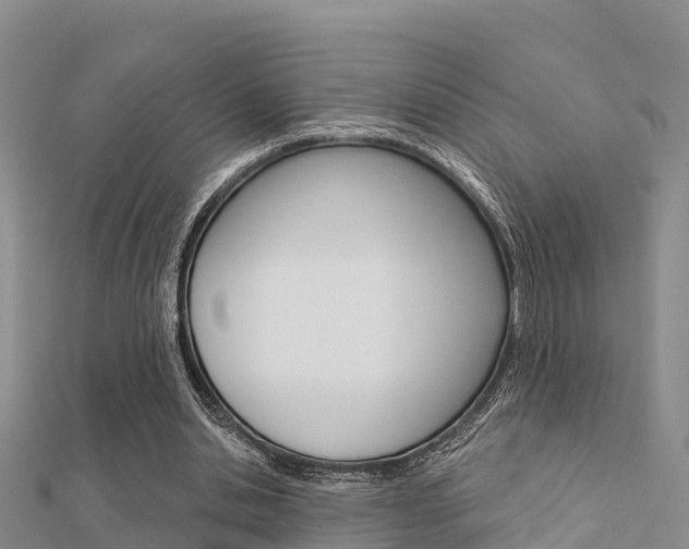 X0000112430438200908141115