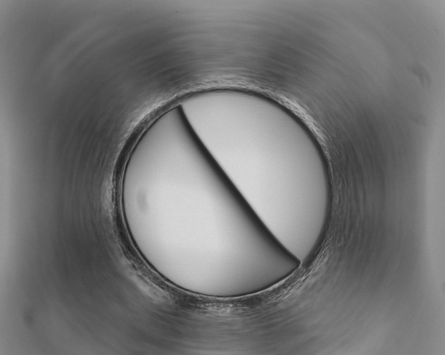 X0000112430439200908141115