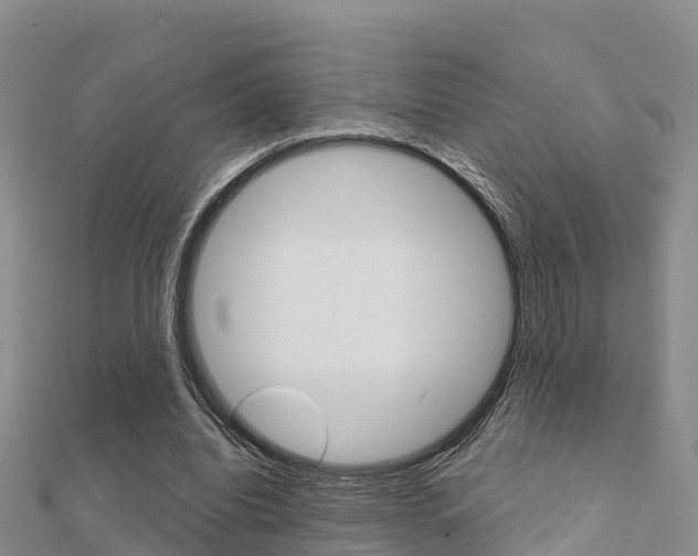 X0000112430440200908141115