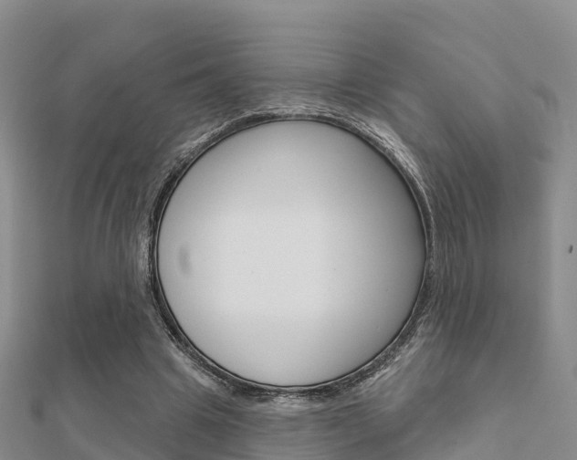 X0000112430441200908141115