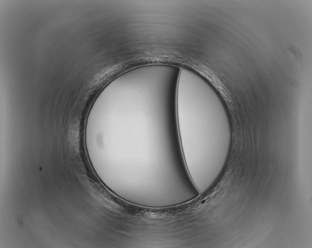 X0000112430442200908141115