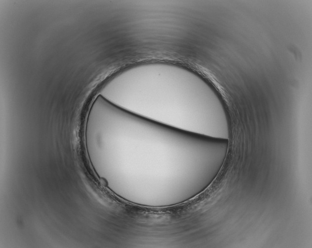 X0000112430443200908141115