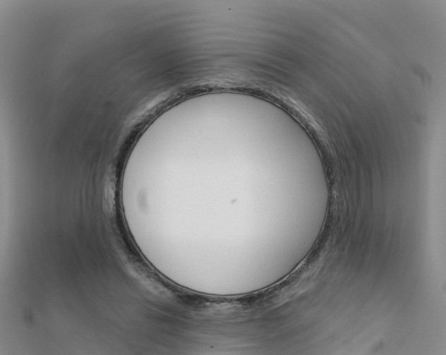 X0000112430446200908141115