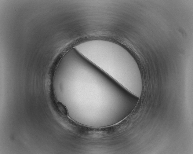 X0000112430448200908141115