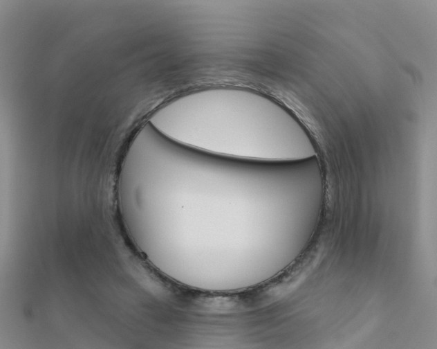 X0000112430449200908141115