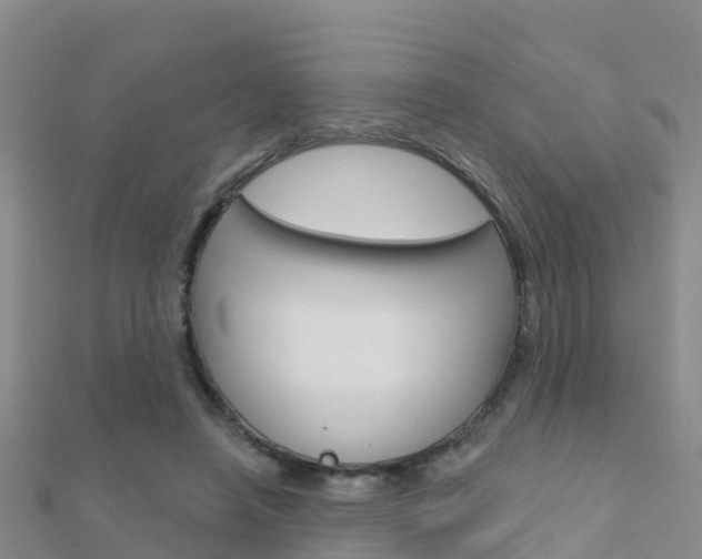 X0000112430450200908141115