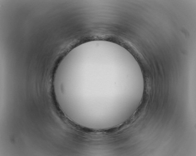 X0000112430451200908141115