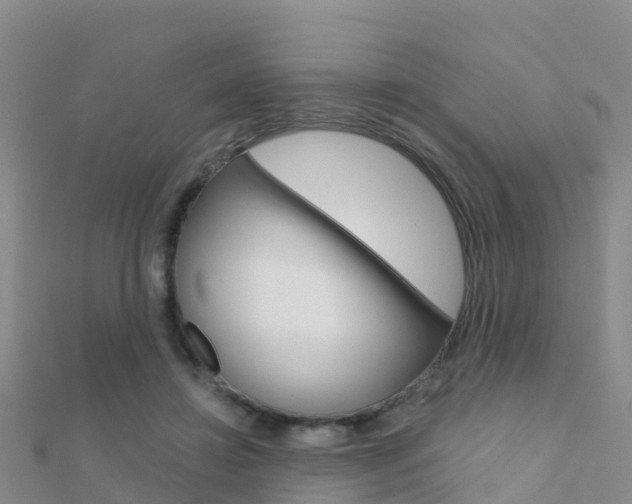 X0000112430452200908141115