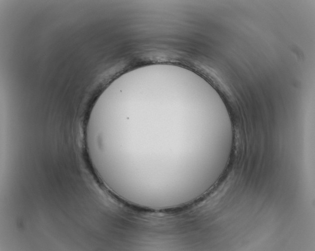 X0000112430453200908141115