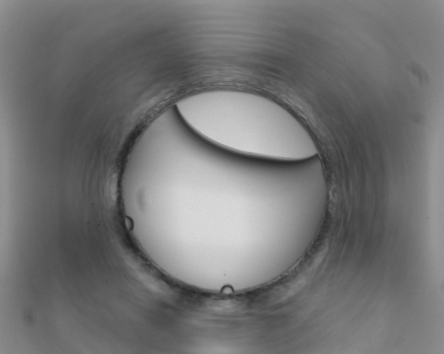 X0000112430454200908141115
