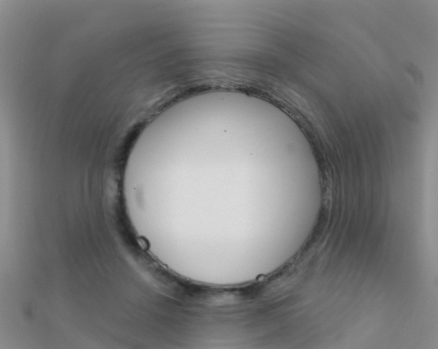 X0000112430456200908141115