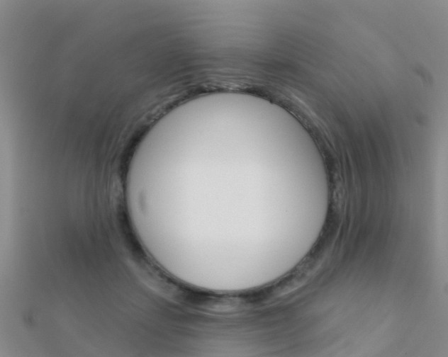 X0000112430459200908141115