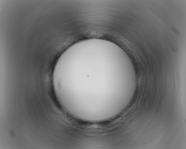 X0000112430460200908141115