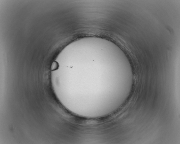 X0000112430462200908141115