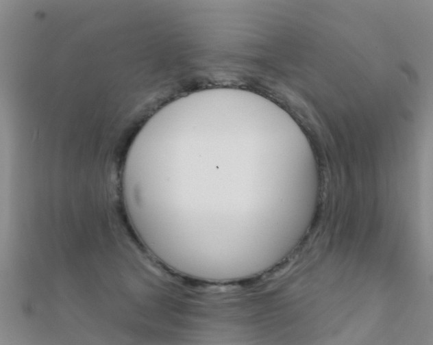 X0000112430465200908141115
