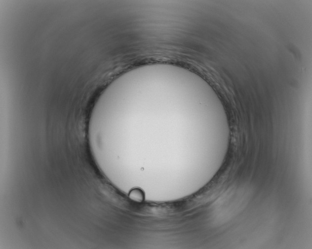 X0000112430466200908141115