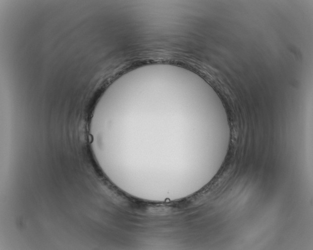 X0000112430470200908141115