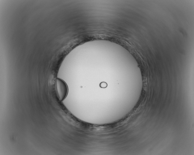 X0000112430472200908141115