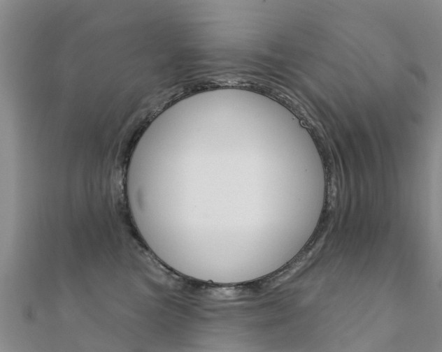 X0000112430473200908141115