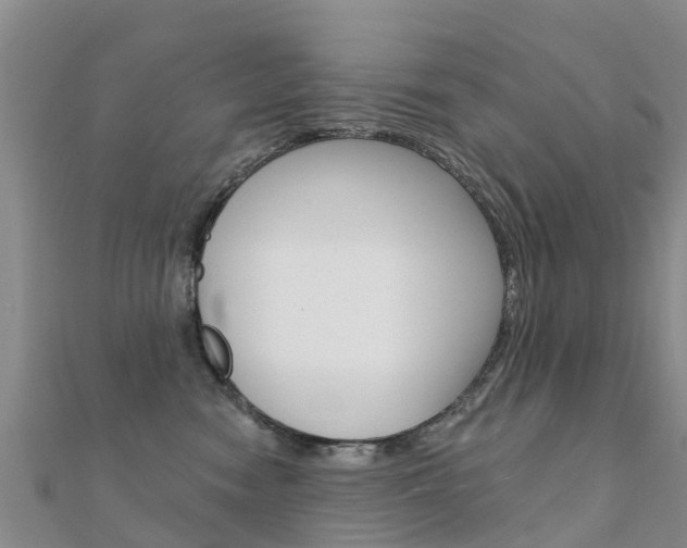 X0000112430474200908141115