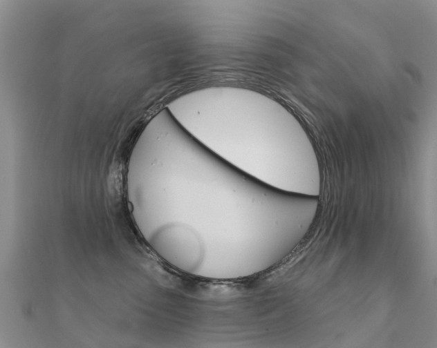 X0000112430475200908141115