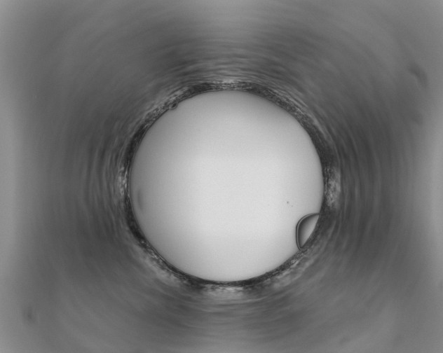 X0000112430476200908141115
