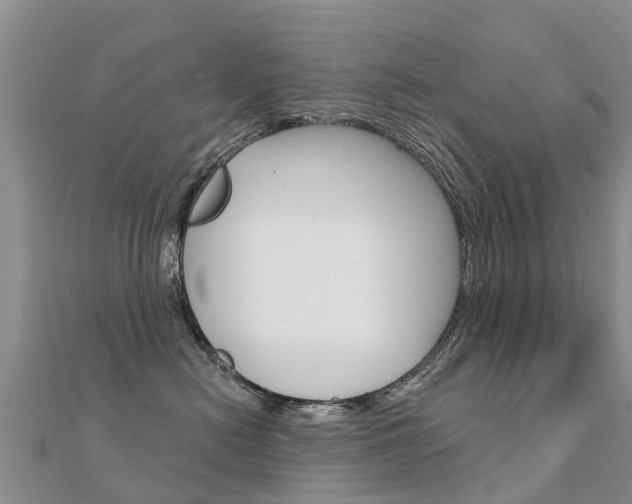 X0000112430478200908141115