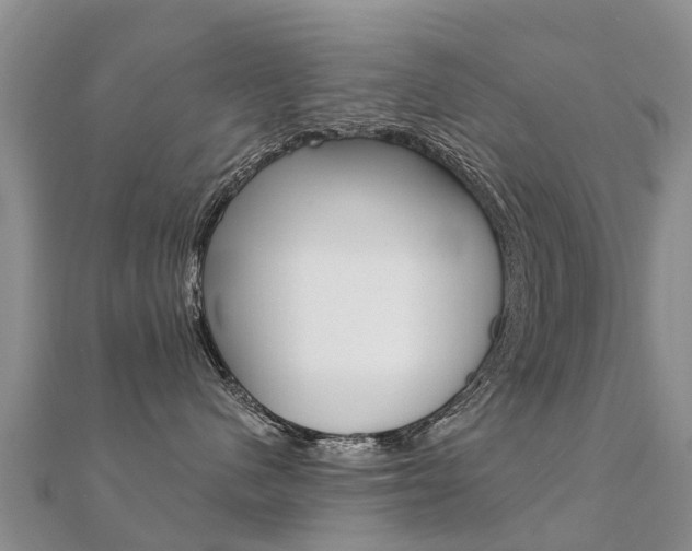 X0000112430480200908141115