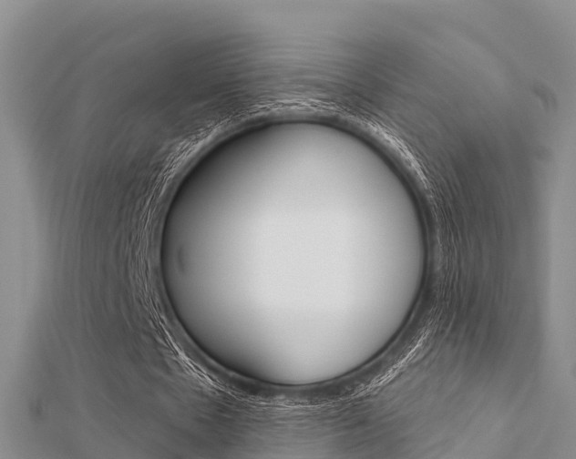 X0000112430481200908141115