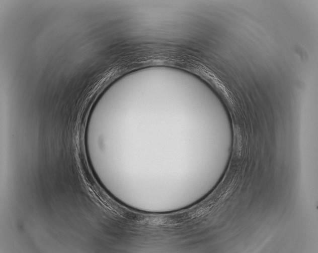 X0000112430482200908141115