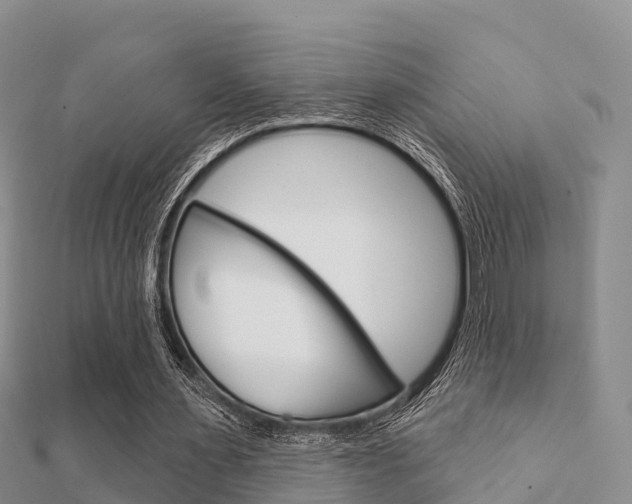 X0000112430483200908141115
