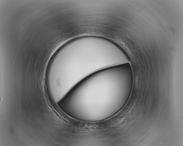X0000112430484200908141115