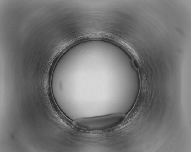 X0000112430485200908141115