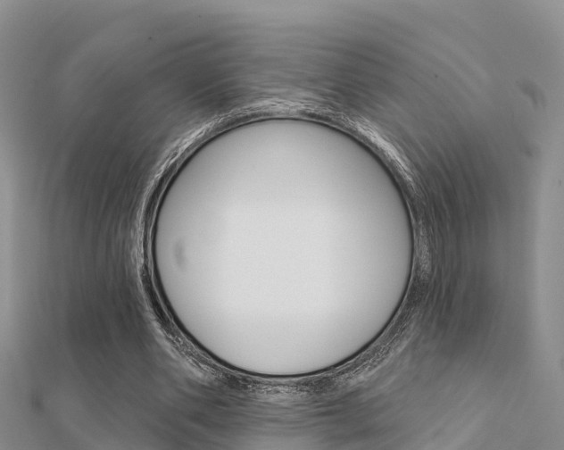 X0000112430486200908141115