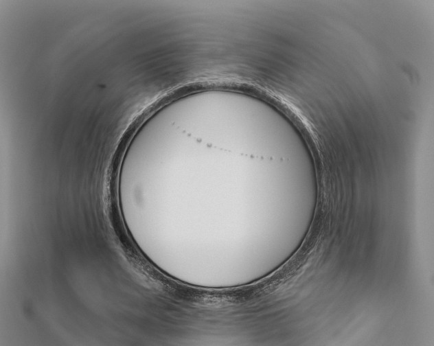 X0000112430487200908141115