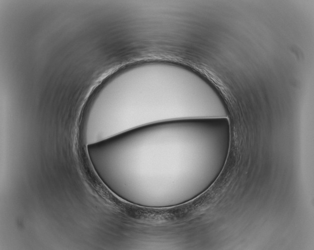 X0000112430488200908141115