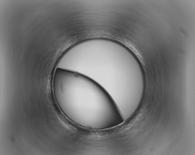 X0000112430489200908141115