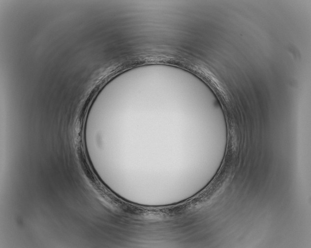 X0000112430490200908141115