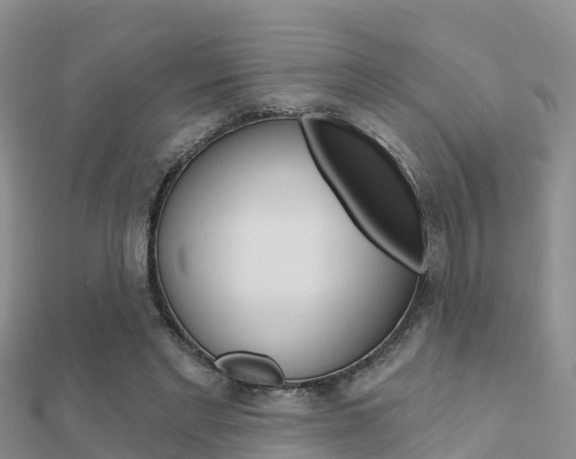 X0000112430493200908141115