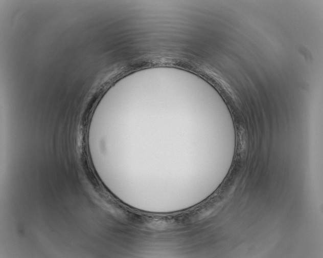 X0000112430494200908141115