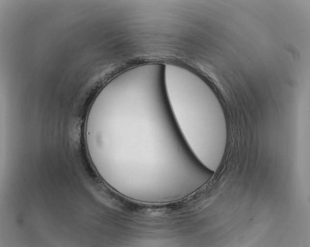 X0000112430495200908141115