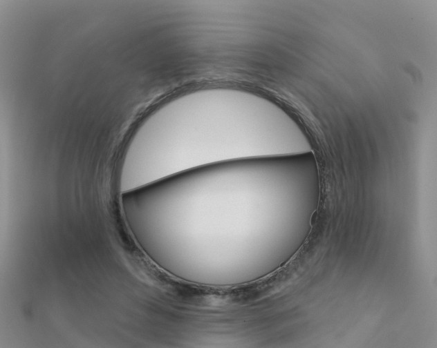 X0000112430496200908141115