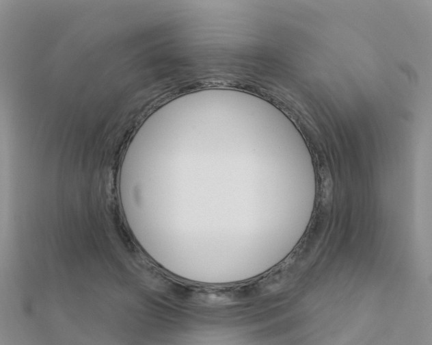 X0000112430498200908141115