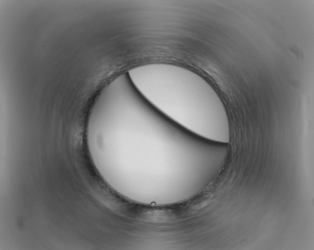 X0000112430499200908141114