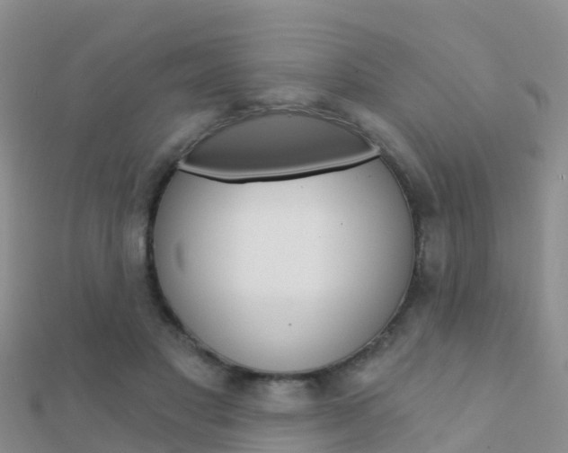 X0000112430501200908141114