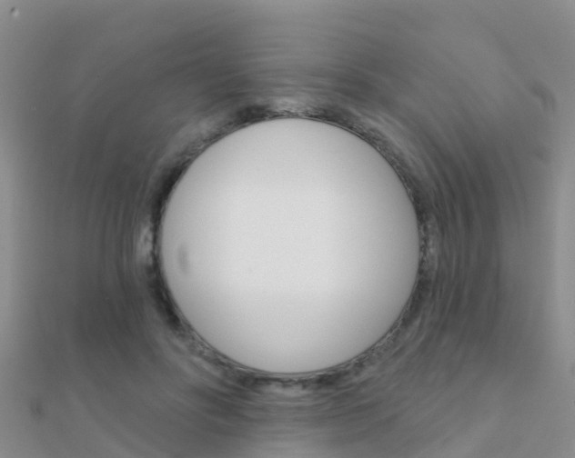 X0000112430502200908141114