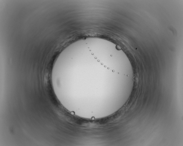 X0000112430503200908141114